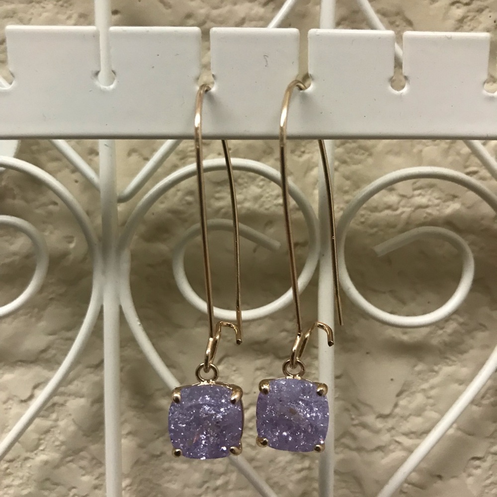 NWOT Earrings. Never worn.